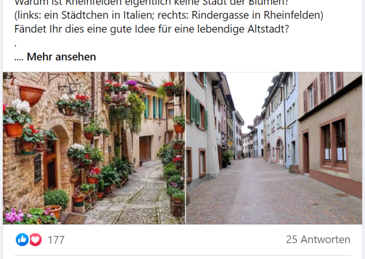 Blumen Rheinfelden